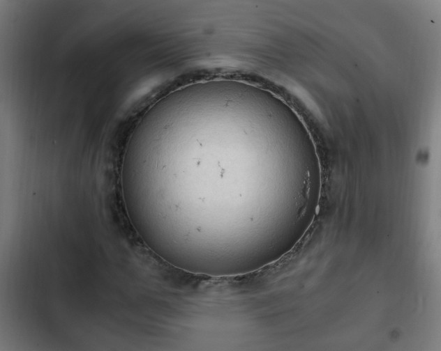 X0000103130967200808291312
