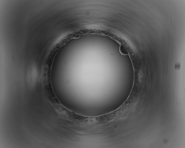 X0000103130968200808291312