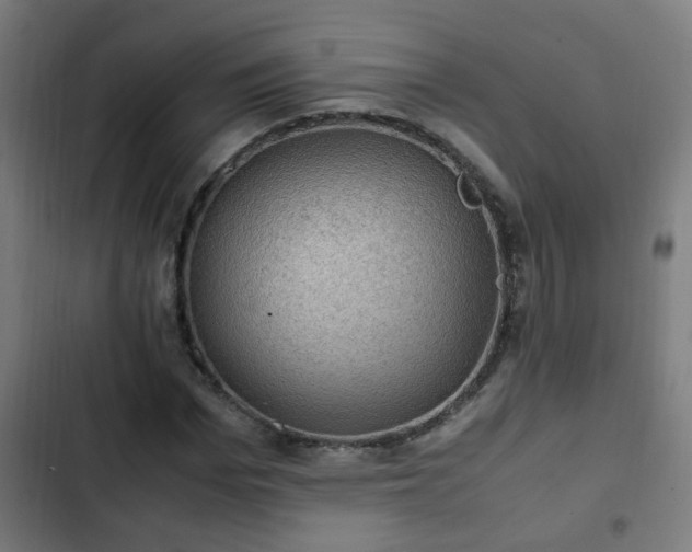 X0000103130969200808291312