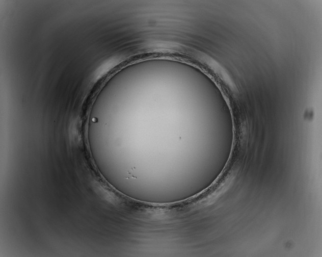X0000103130970200808291312
