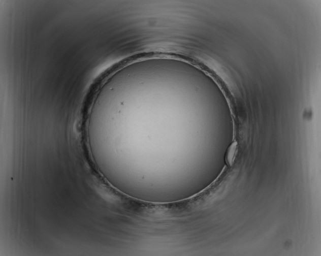X0000103130971200808291312