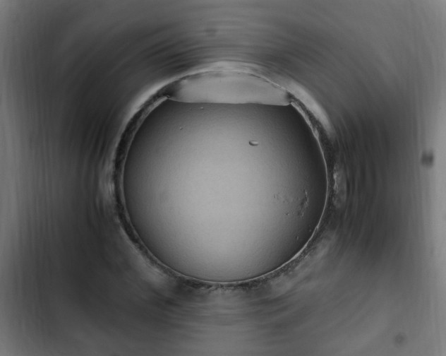 X0000103130972200808291312