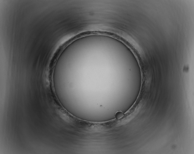 X0000103130974200808291312