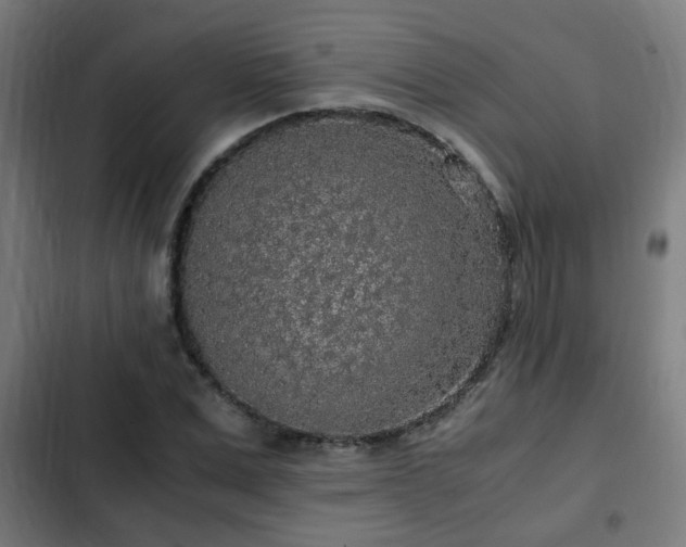 X0000103130975200808291312