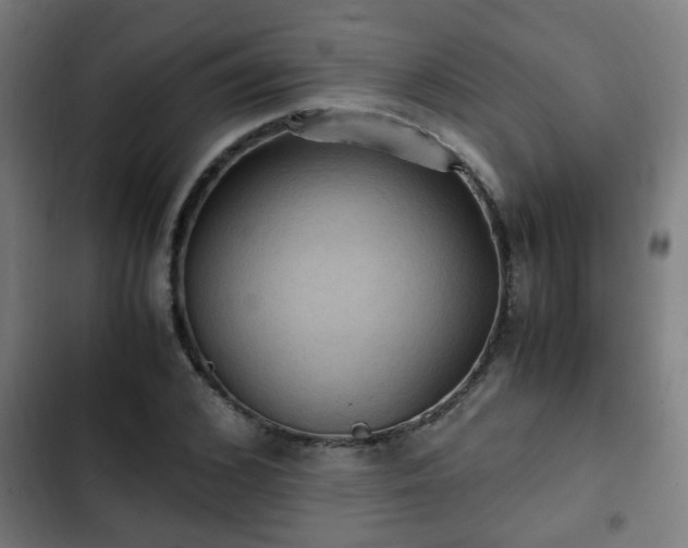 X0000103130976200808291312