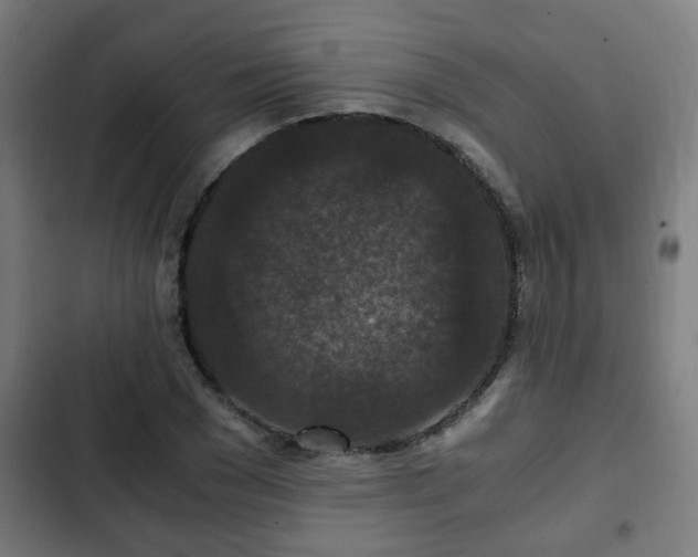 X0000103130977200808291312