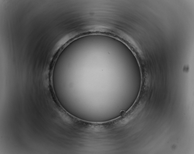 X0000103130978200808291312