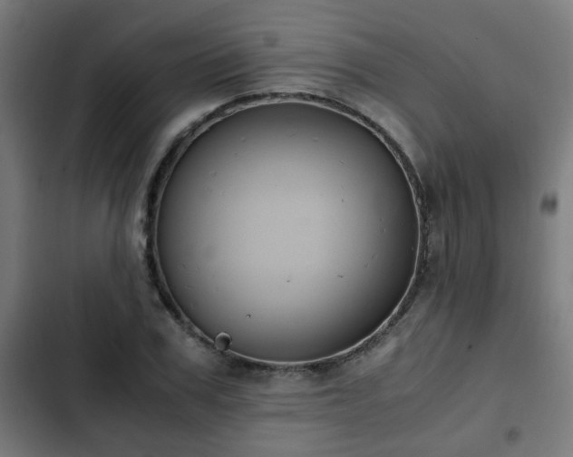 X0000103130979200808291312