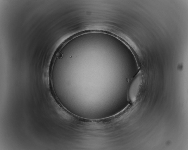 X0000103130980200808291312