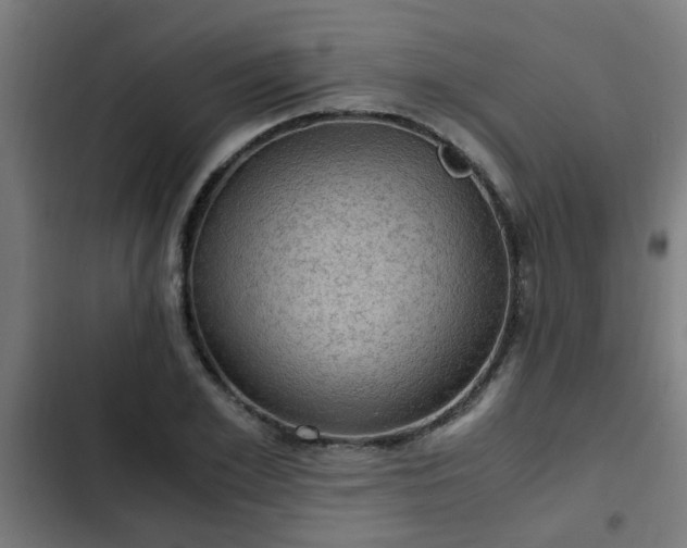 X0000103130981200808291312