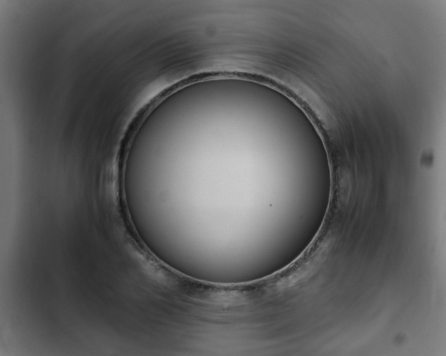 X0000103130982200808291312