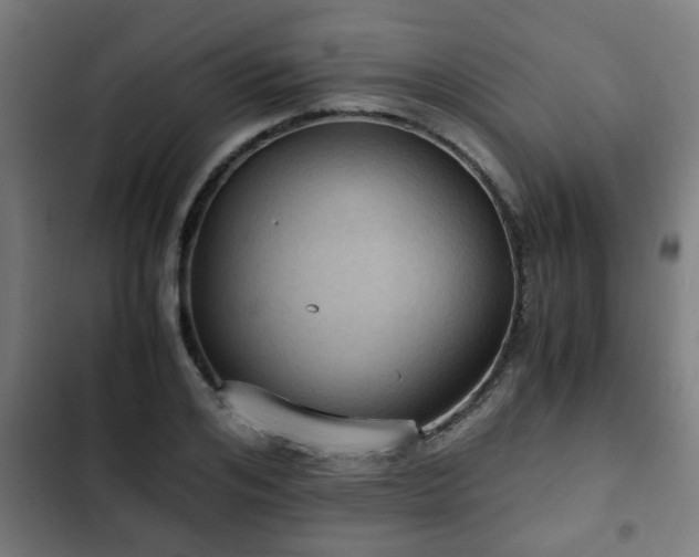X0000103130984200808291312