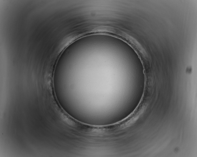 X0000103130985200808291312
