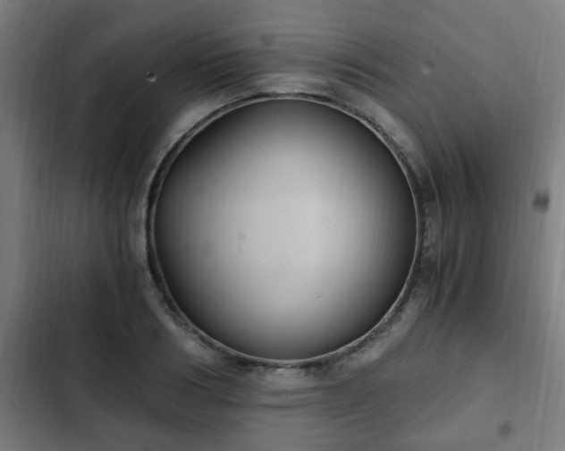 X0000103130986200808291312