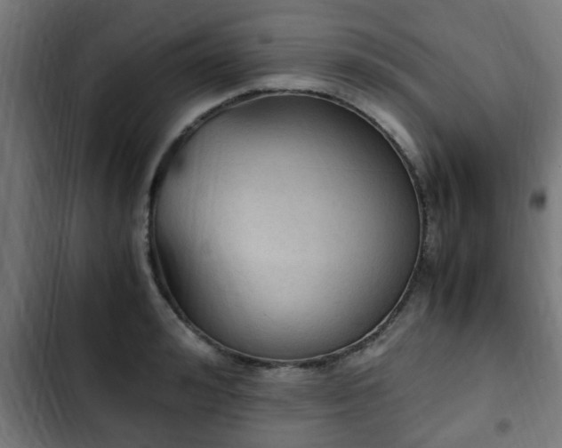 X0000103130992200808291312