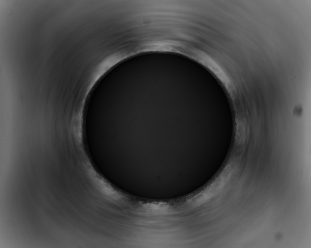 X0000103130994200808291312