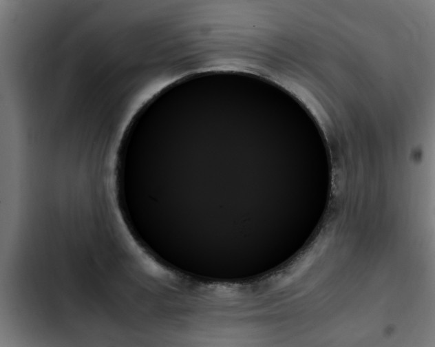 X0000103130995200808291312