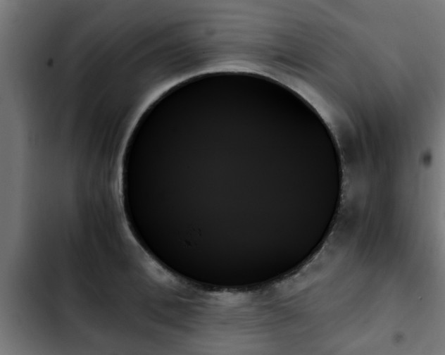 X0000103130996200808291312