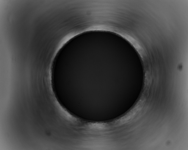 X0000103130998200808291312