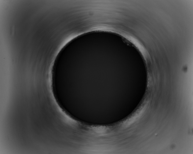 X0000103130999200808291312