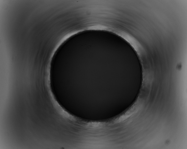X0000103131000200808291312
