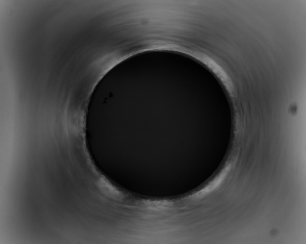 X0000103131001200808291312
