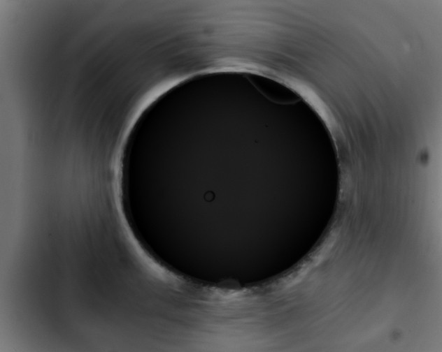 X0000103131003200808291312