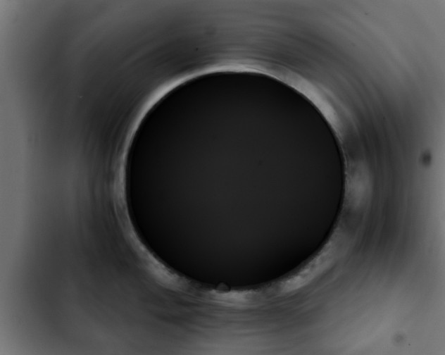 X0000103131004200808291312