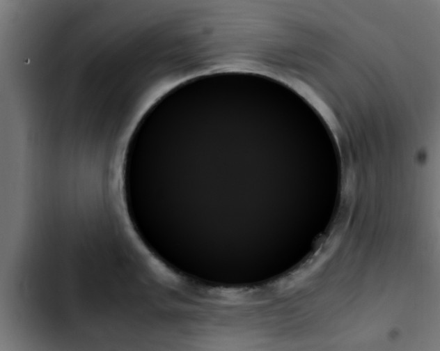 X0000103131005200808291312