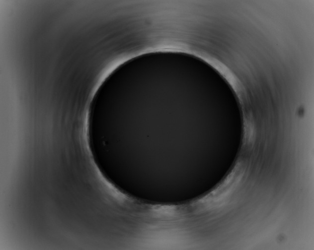 X0000103131006200808291312