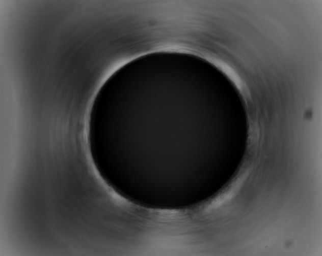 X0000103131007200808291312