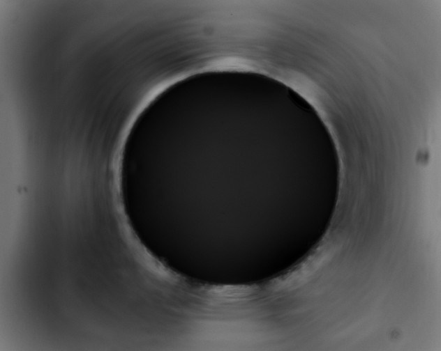 X0000103131008200808291312