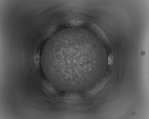 X0000103131011200808291311