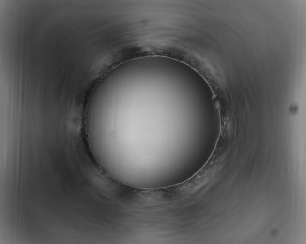 X0000103131012200808291311