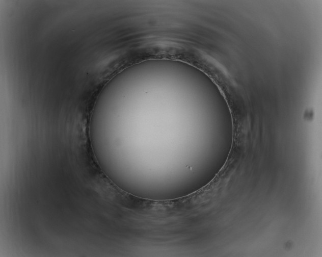 X0000103131013200808291311