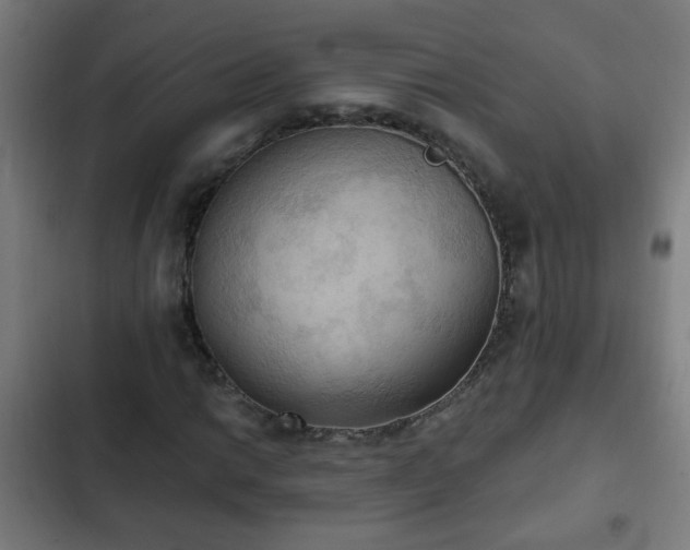 X0000103131014200808291311