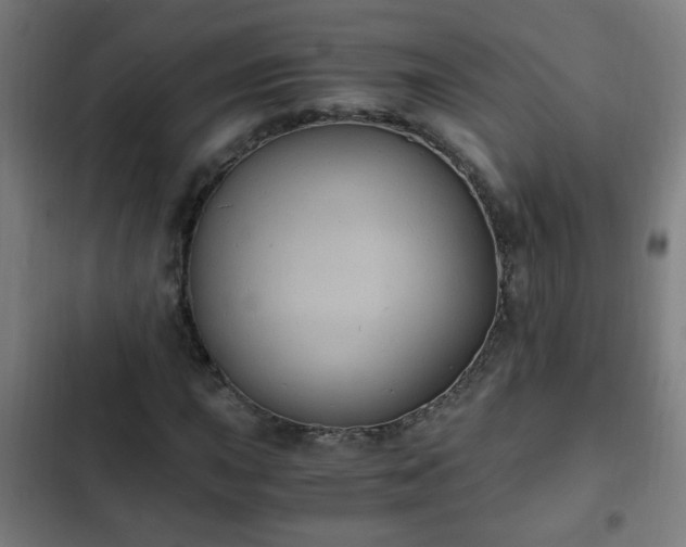 X0000103131015200808291311