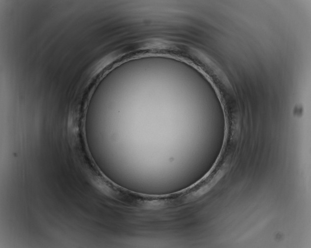 X0000103131017200808291311