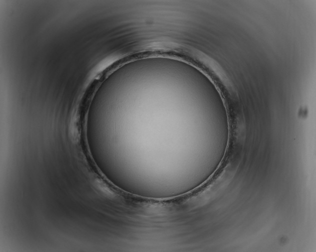 X0000103131018200808291311