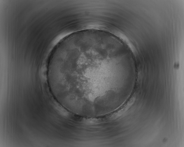X0000103131019200808291311