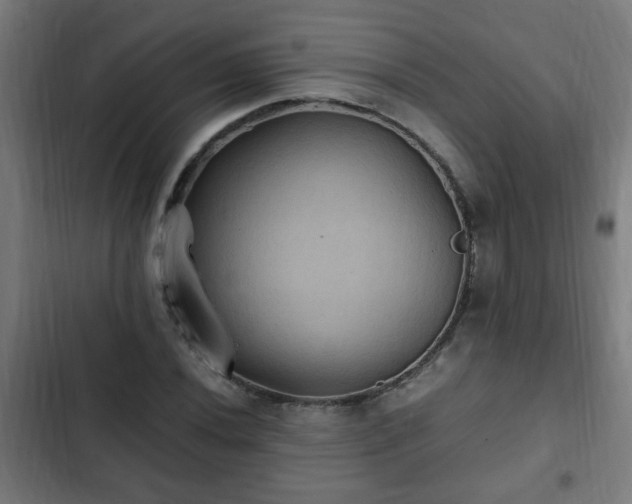 X0000103131020200808291311