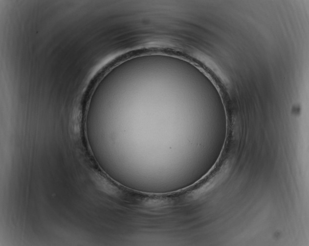 X0000103131021200808291311
