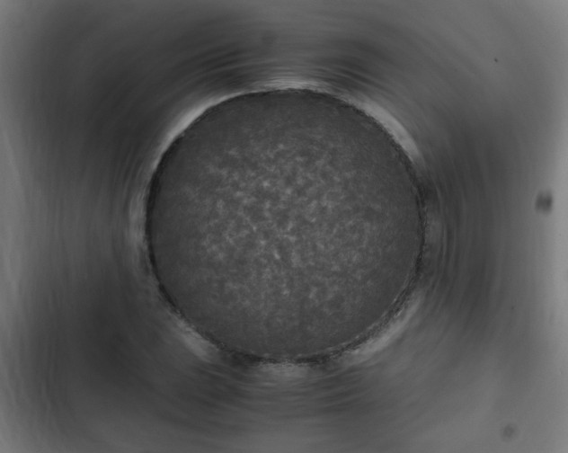 X0000103131023200808291311