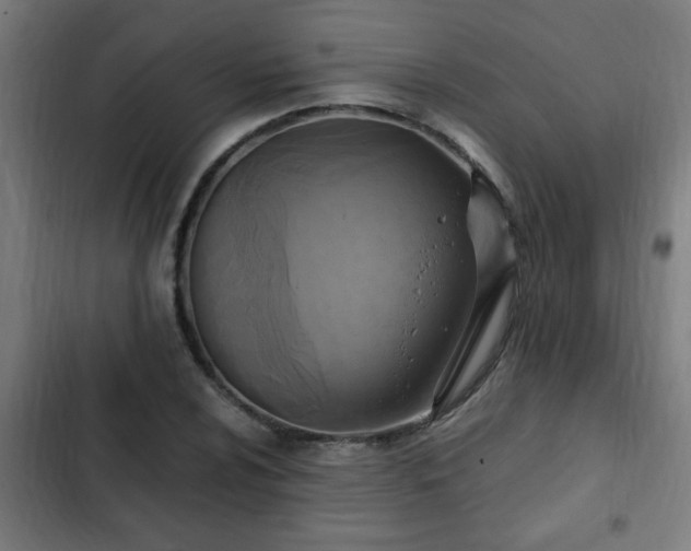 X0000103131024200808291311