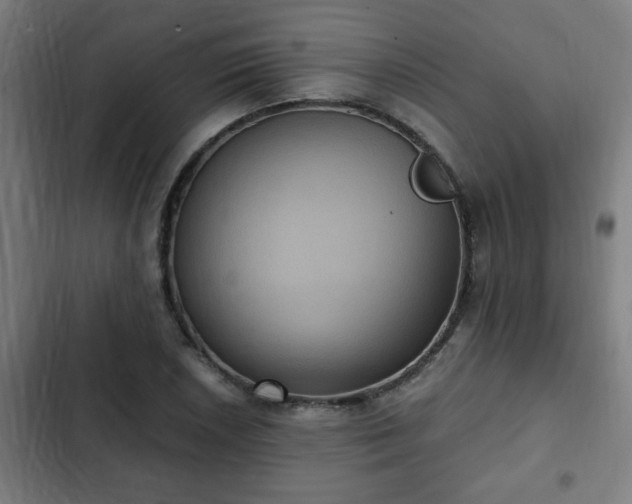 X0000103131026200808291311