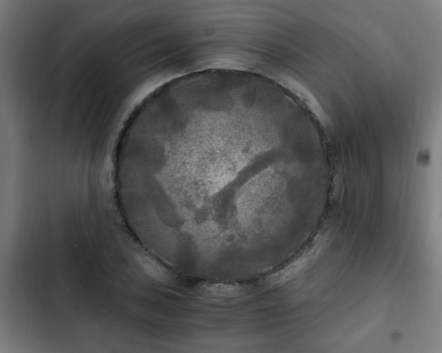 X0000103131027200808291311