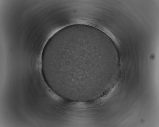 X0000103131028200808291311