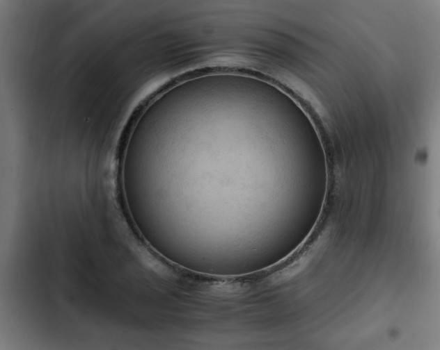 X0000103131029200808291311