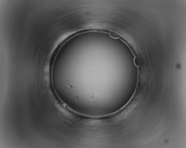 X0000103131030200808291311