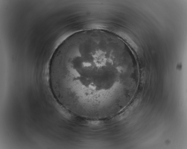 X0000103131031200808291311